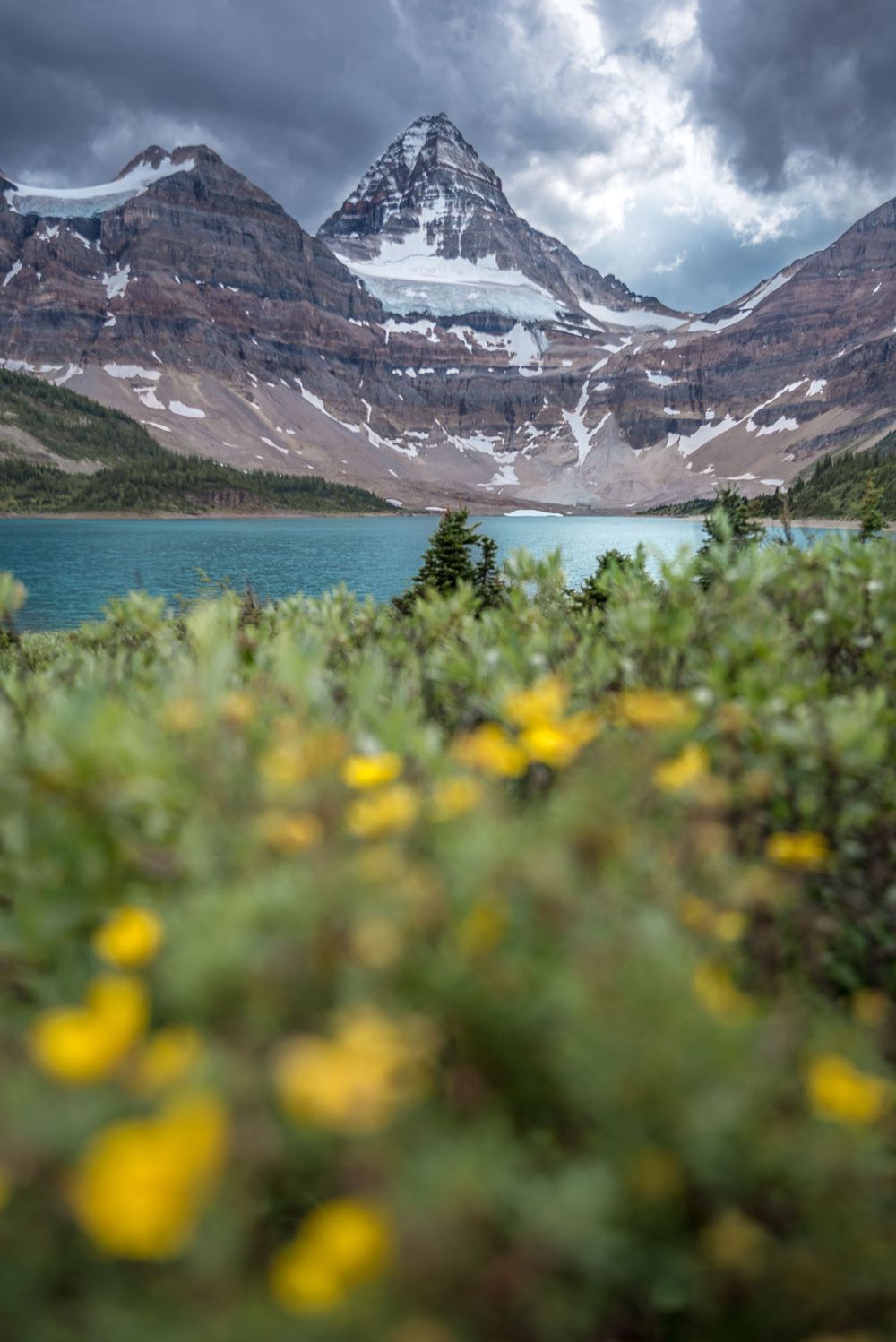 Dramatic mountain peaks rising above a turquoise alpine lake with yellow wildflowers in the foreground.