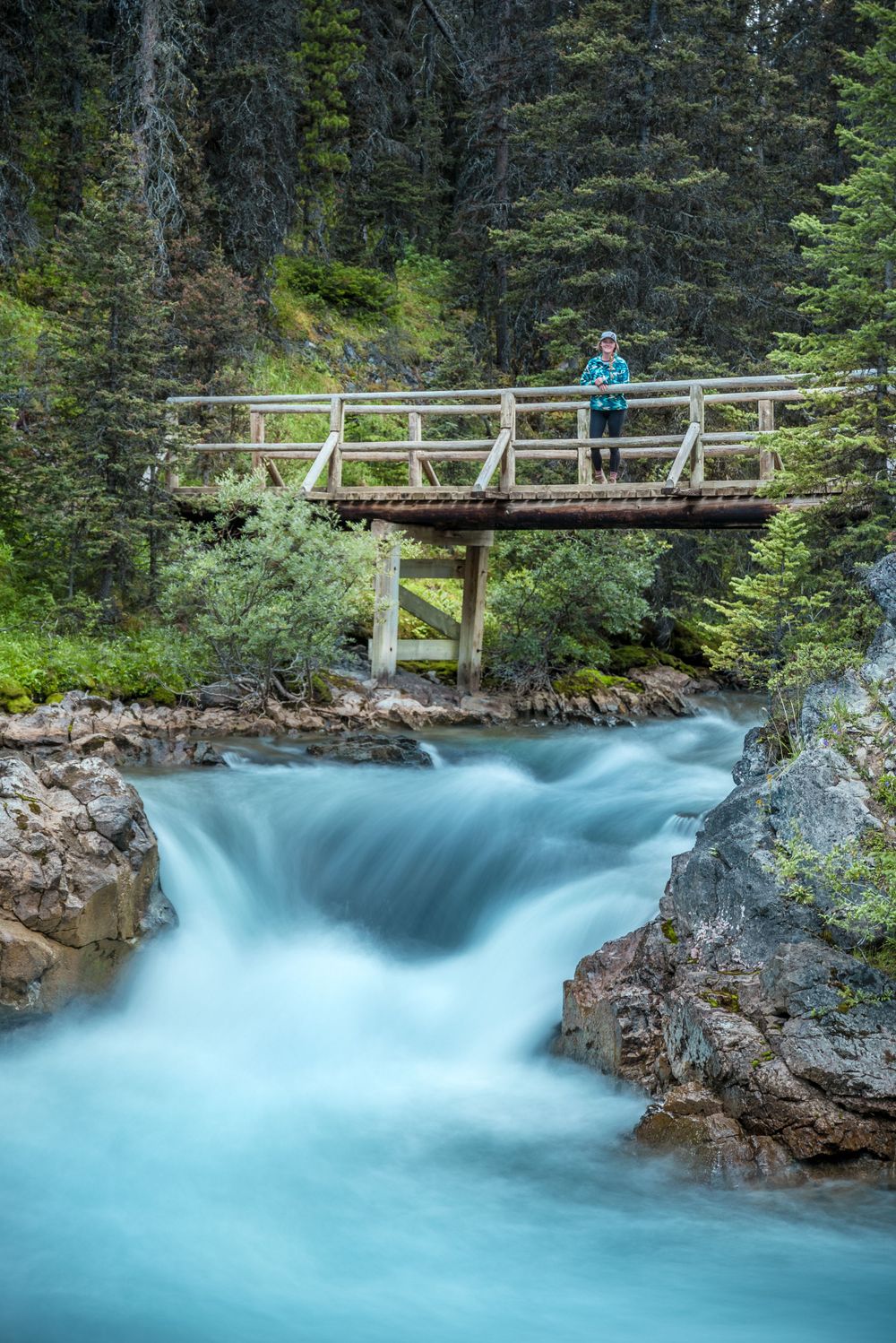 Wooden bridge spans over milky blue glacial waters rushing through rocky canyon surrounded by pine forest.