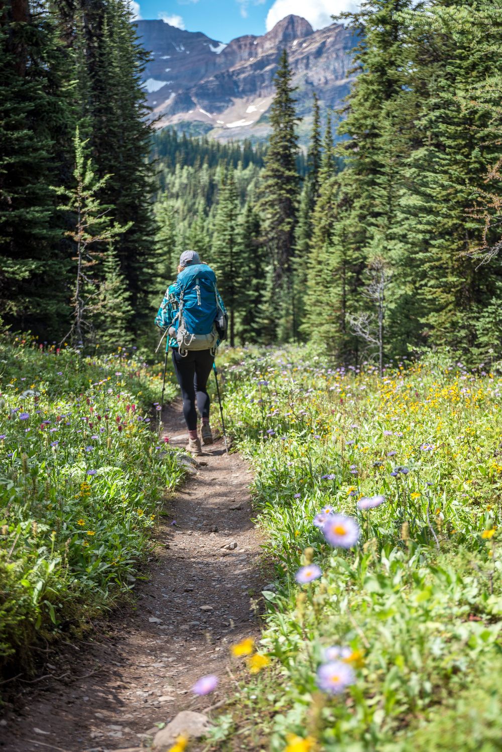 Hiker with blue backpack walks mountain trail through wildflower meadow with peaks in distance.