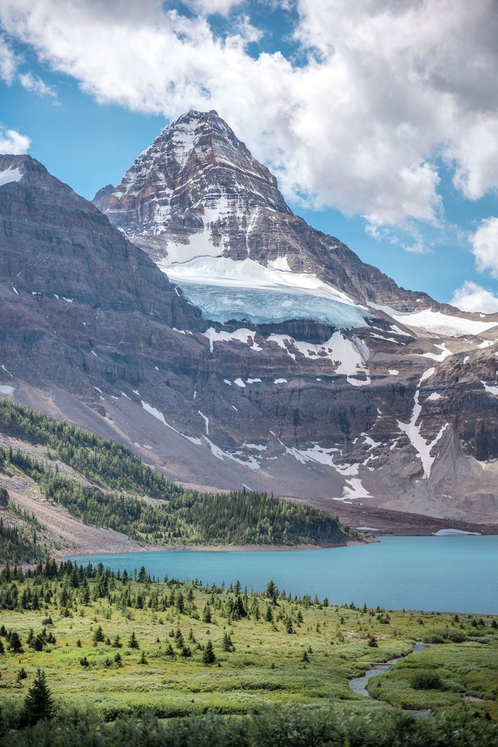 Massive glaciated mountain peak towers over turquoise alpine lake and green meadow below.