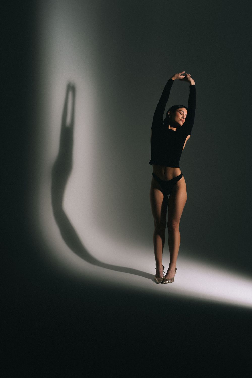 Dramatic silhouette of a dancer stretching upward in a black dance outfit against a stark lit background casting a shadow.