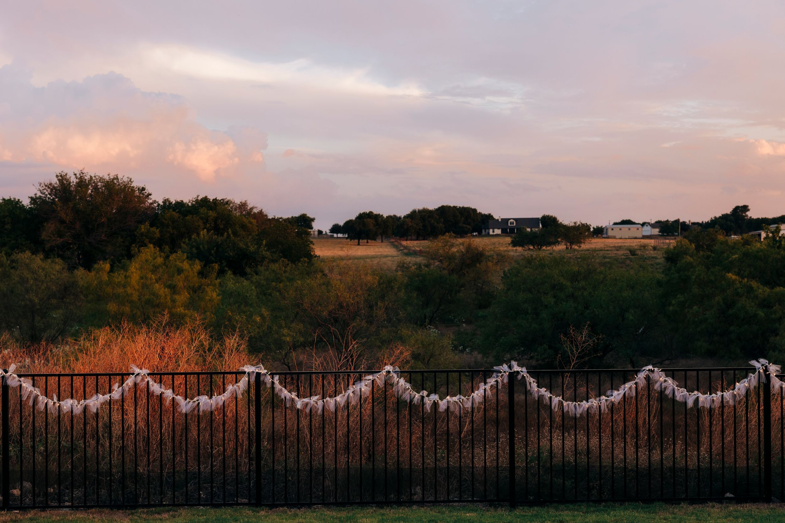 Outdoor backyard ceremony under string lights at a small Fort Worth wedding