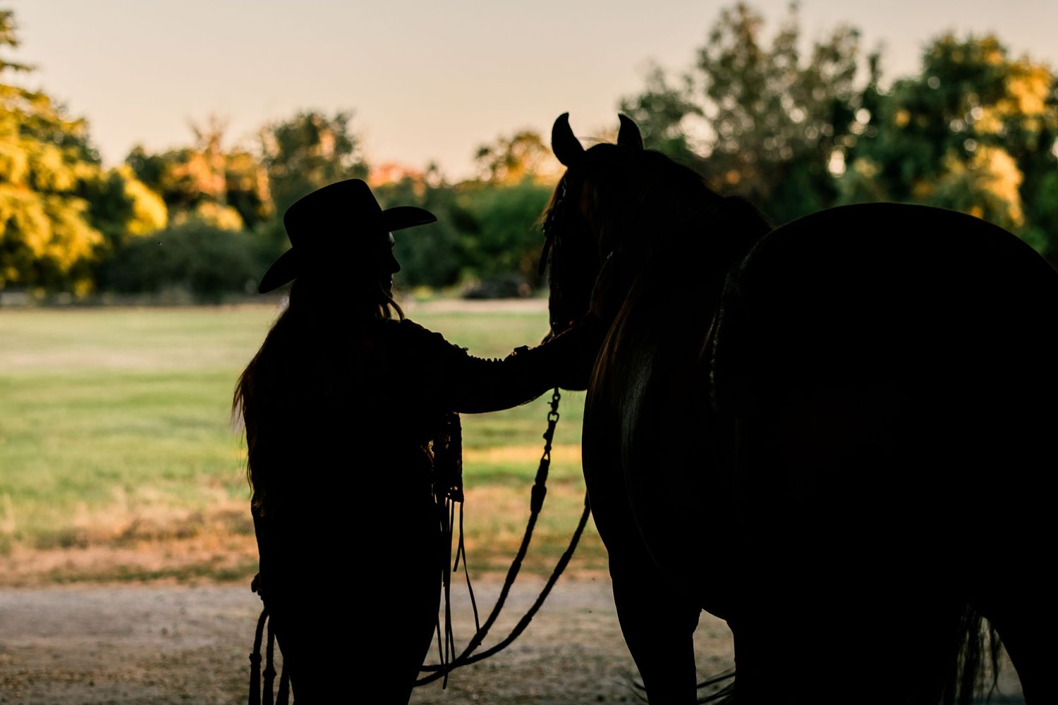 Eight horses silhouetted against a sunset sky appear in a series of connected images.