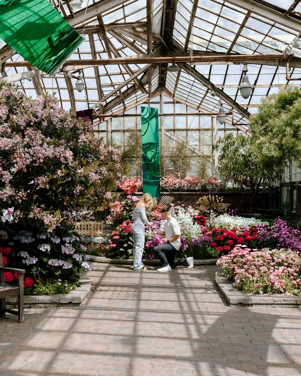 Inside a bright greenhouse with pink and purple flowers blooming while figures walk amongst the colorful displays.