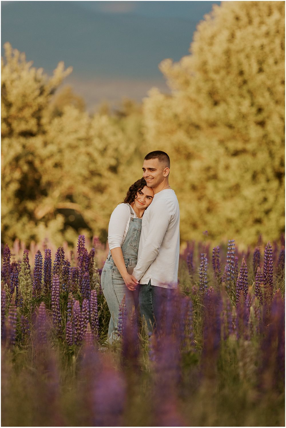 A NH couple during their engagement pictures in a lupine field