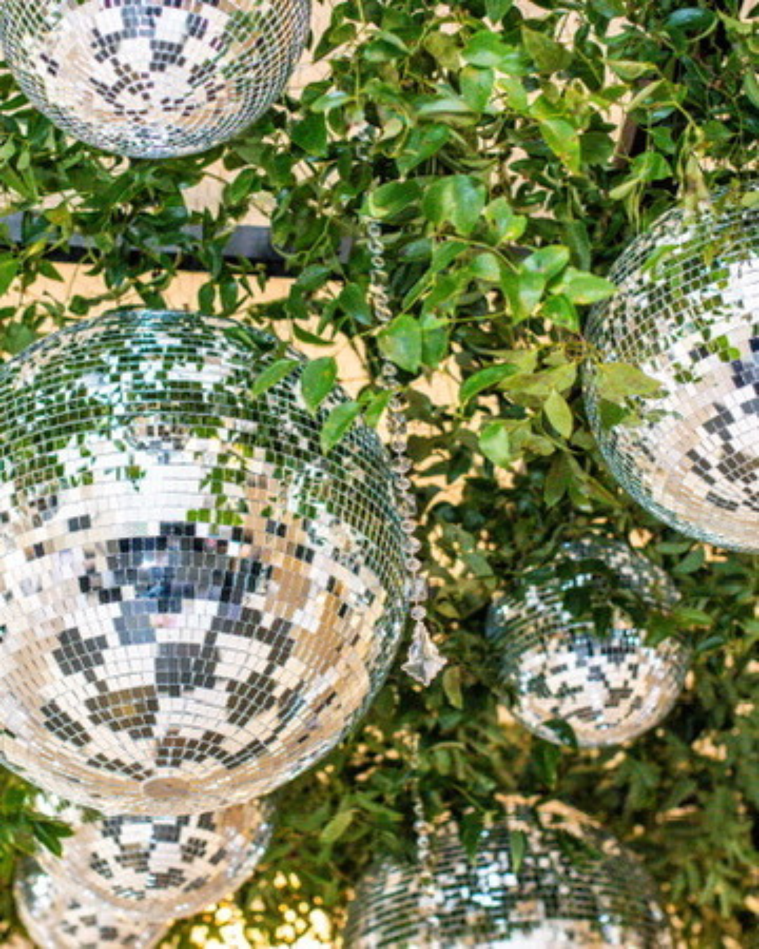 Discoball Installation at Charleston, SC Wedding