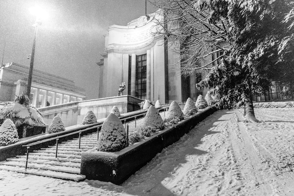 A neoclassical building entrance with snow-covered steps and bushes in winter, captured in black and white photography.