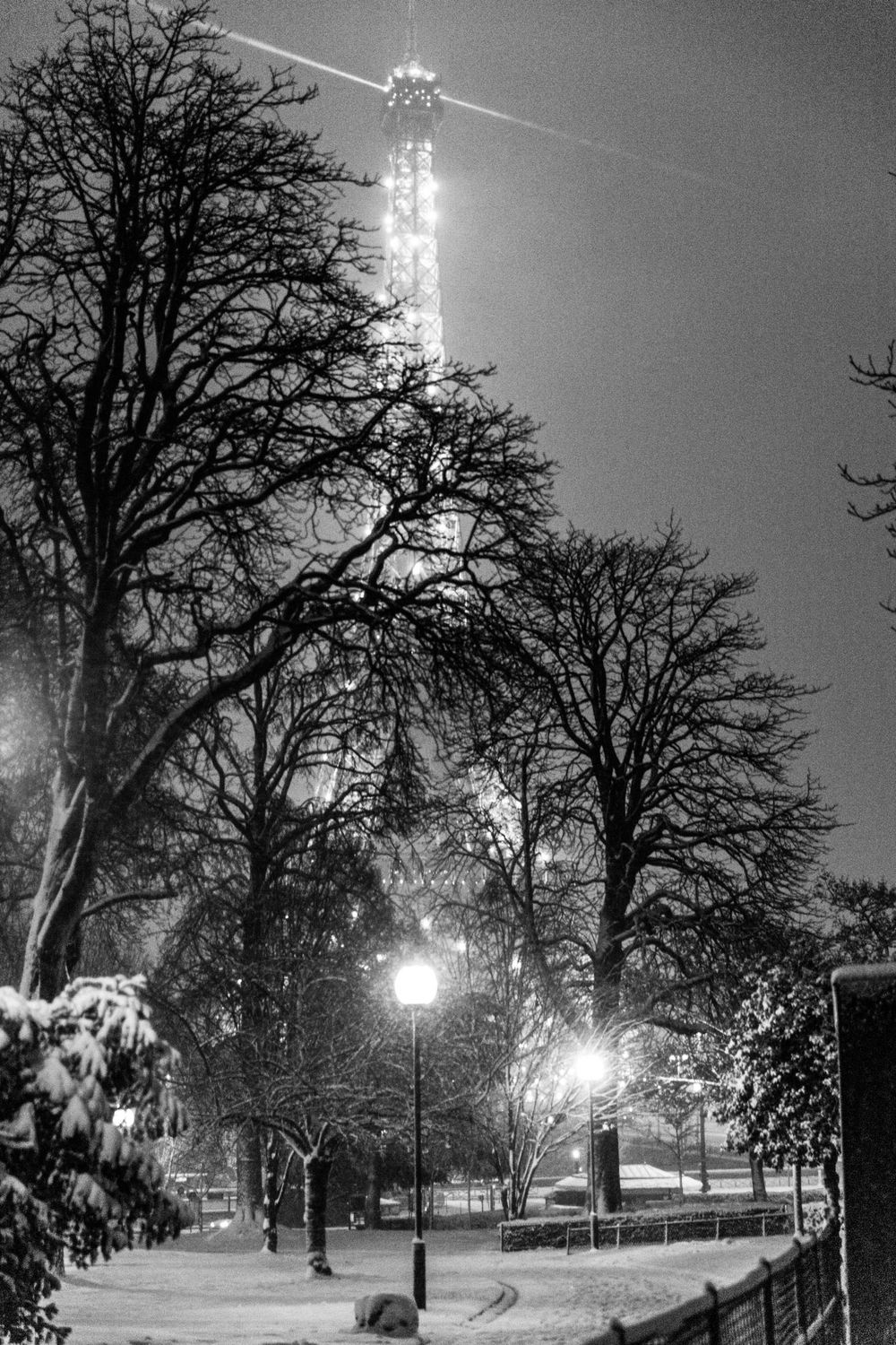 A snowy winter night scene with illuminated lampposts and bare trees against a dark sky.
