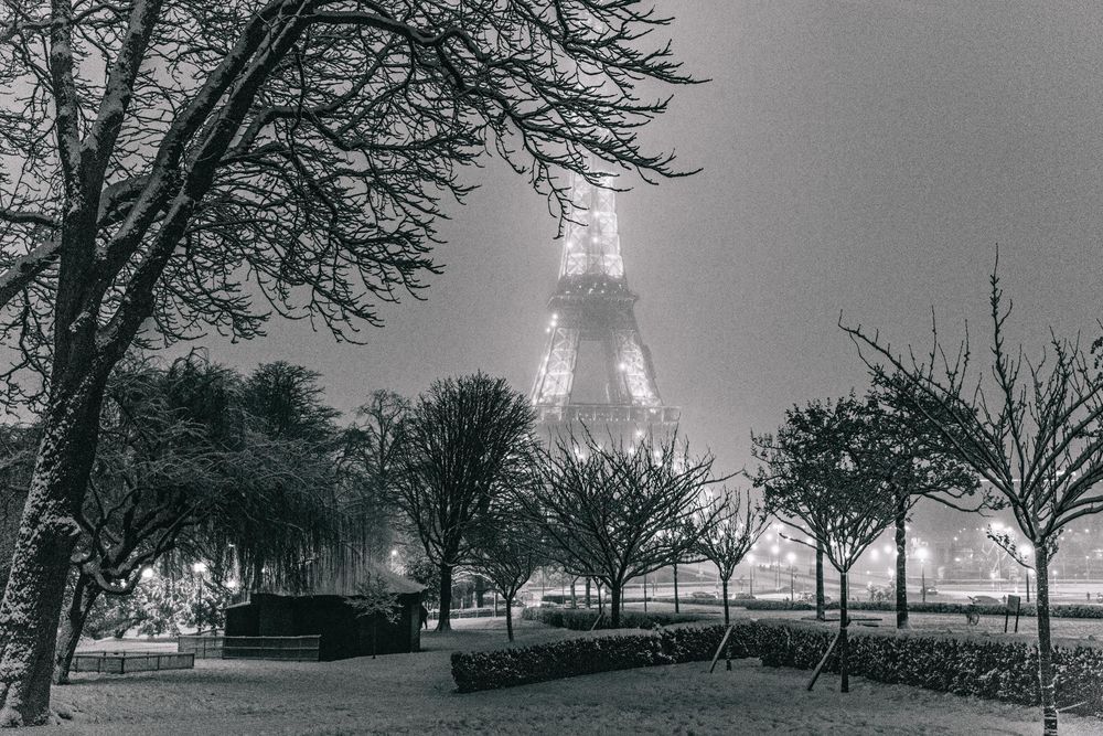 Eiffel Tower glows mysteriously through fog at night with silhouetted bare trees in the foreground in black and white.