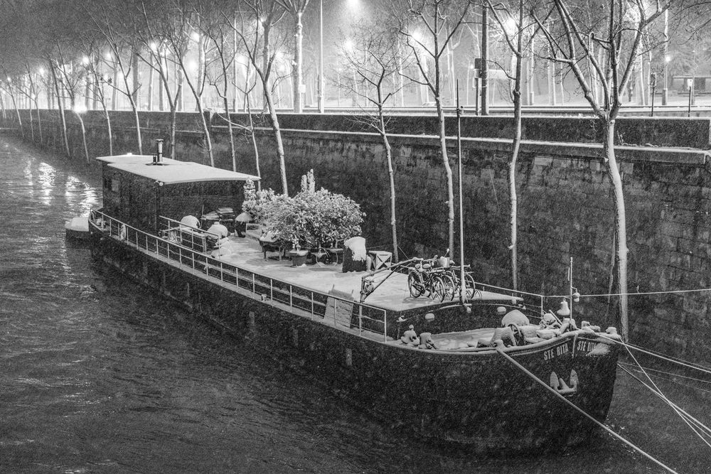 Moored barge along Seine River at night with illuminated trees lining the riverbank in Paris.