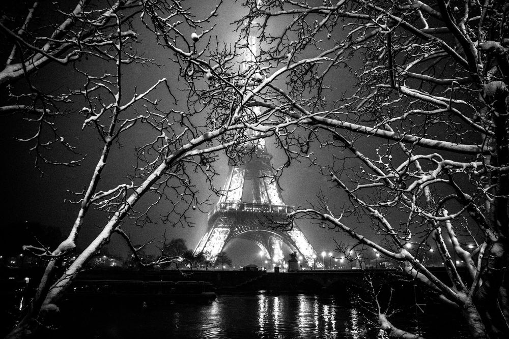 The Eiffel Tower illuminates the foggy night sky through bare winter tree branches in Paris, France.
