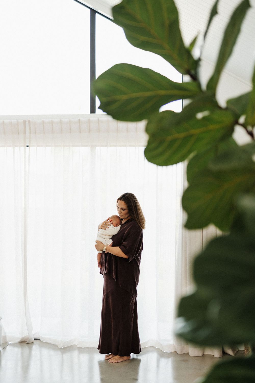 A photographer captures a still life composition with a houseplant in soft natural light by a window.