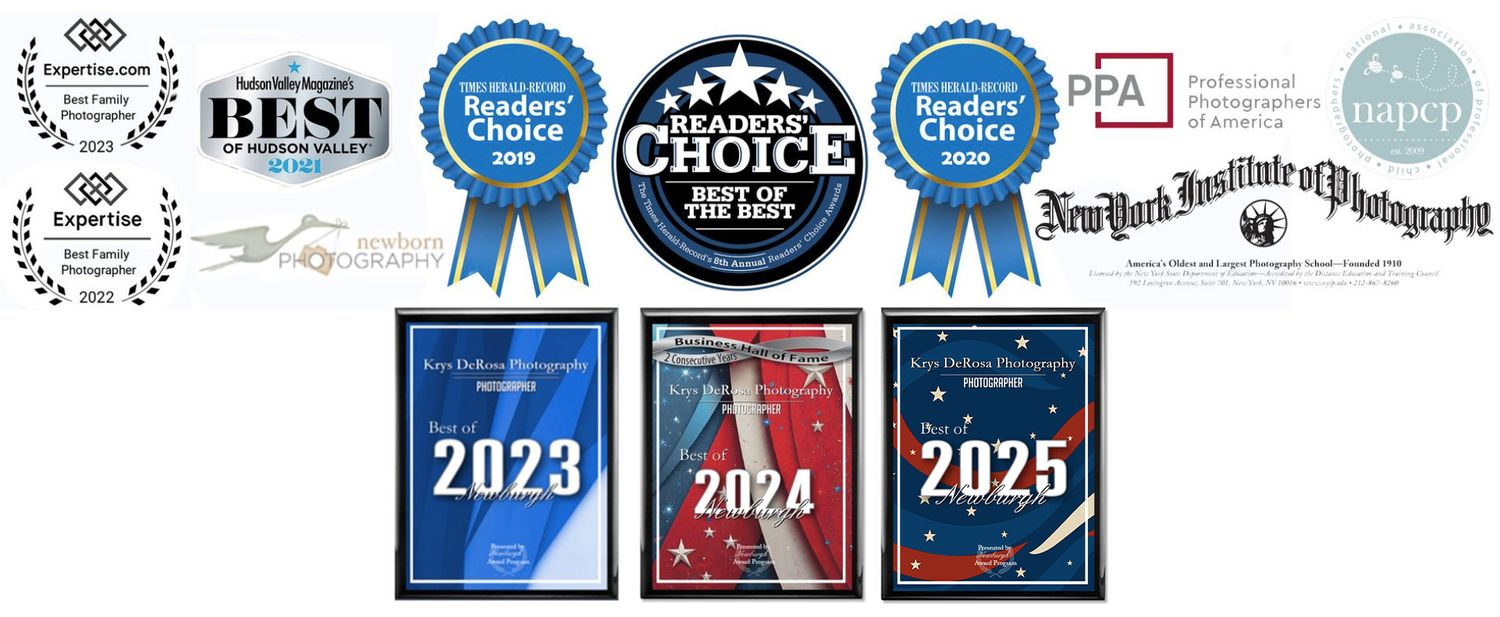 Collection of award badges and medallions with three blue year designation plaques for 2023 2024 and 2025.