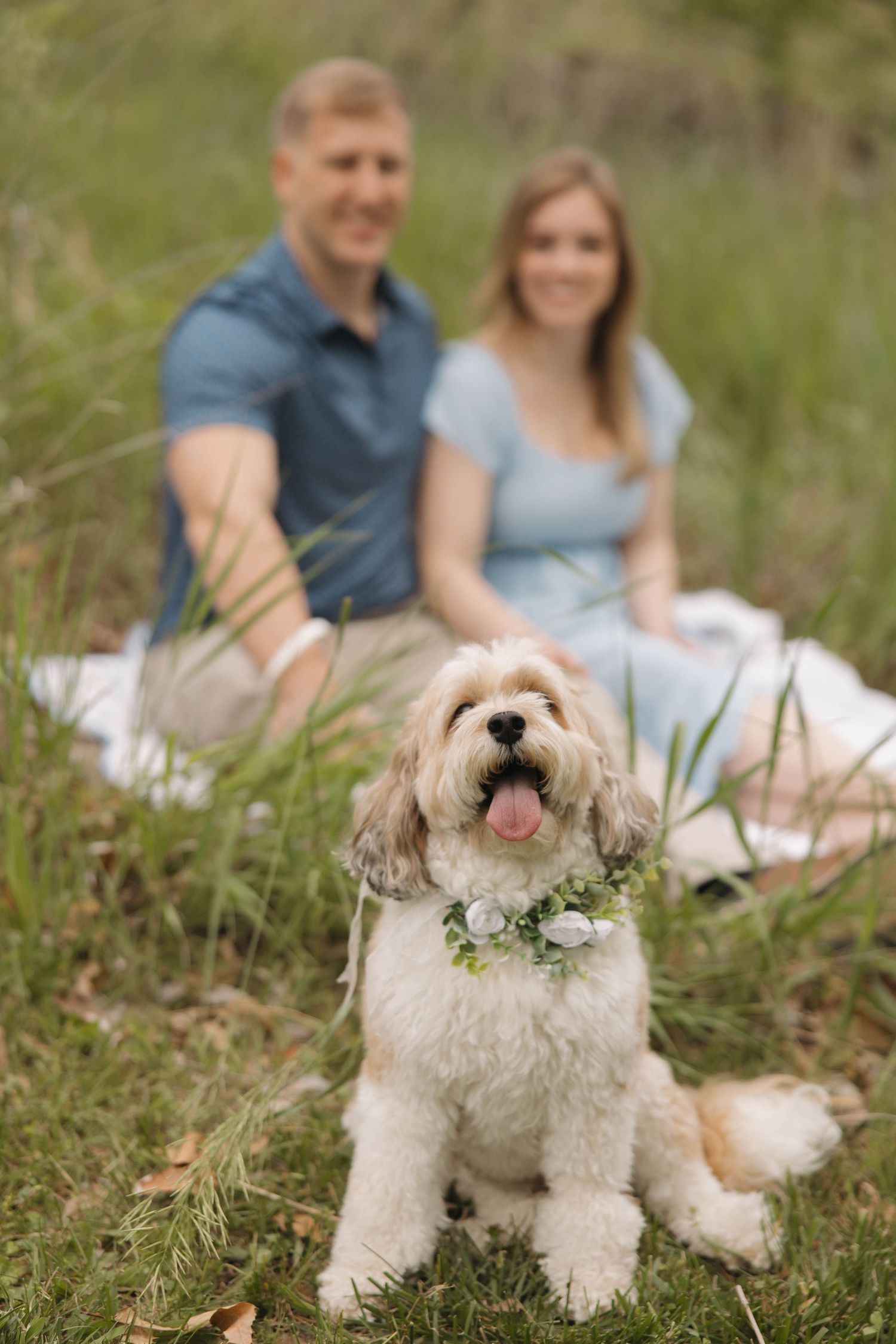 Small white dog wearing a floral crown poses in tall grass while owners relax in background.