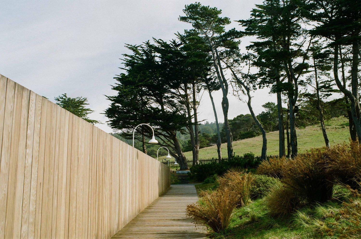A wooden boardwalk path winds along a tall fence with cypress trees at the Sea Ranch Lodge.