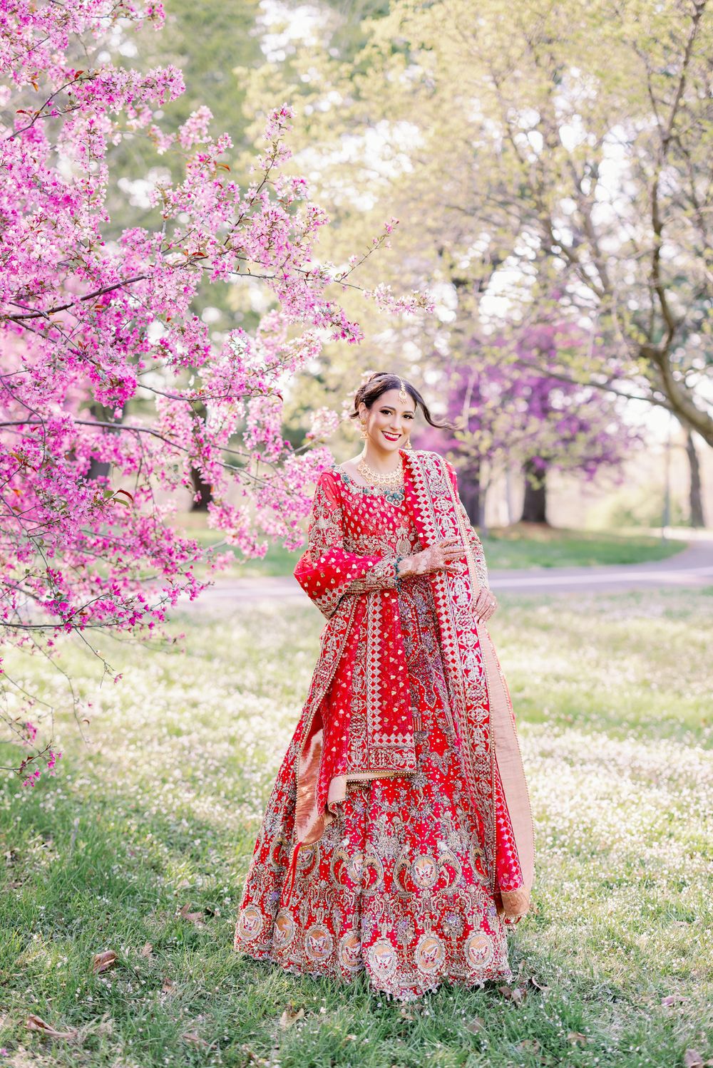 A traditional red and gold embroidered lehenga photographed under blooming pink cherry blossom trees in spring.