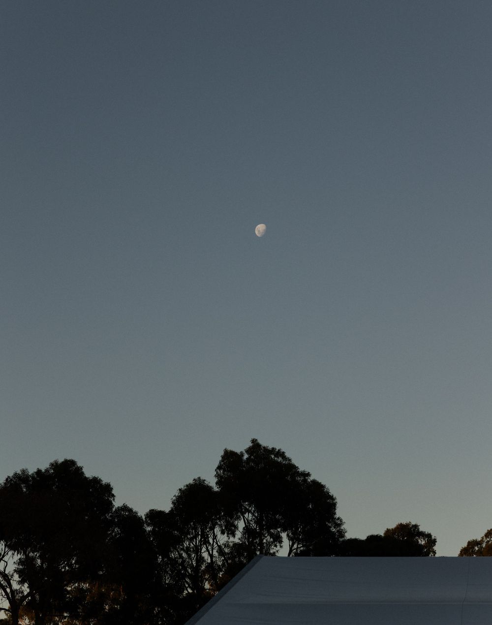 A pale moon hangs in a dusky blue sky above silhouetted trees and roofline.