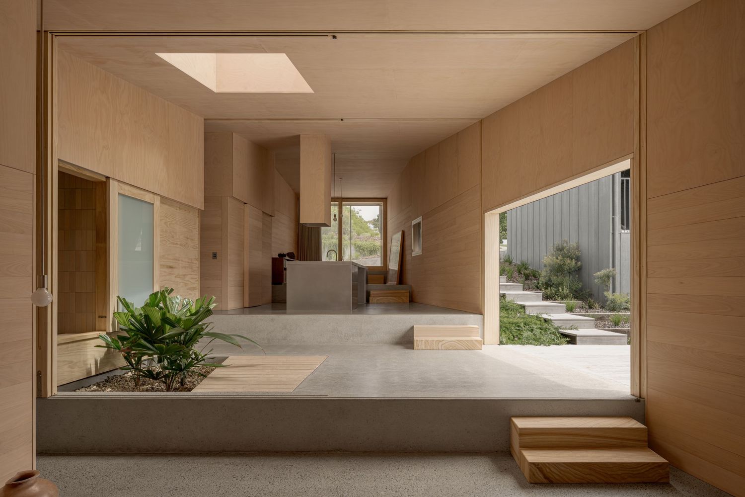 Open-concept interior space with plywood walls, skylight, and indoor plants.