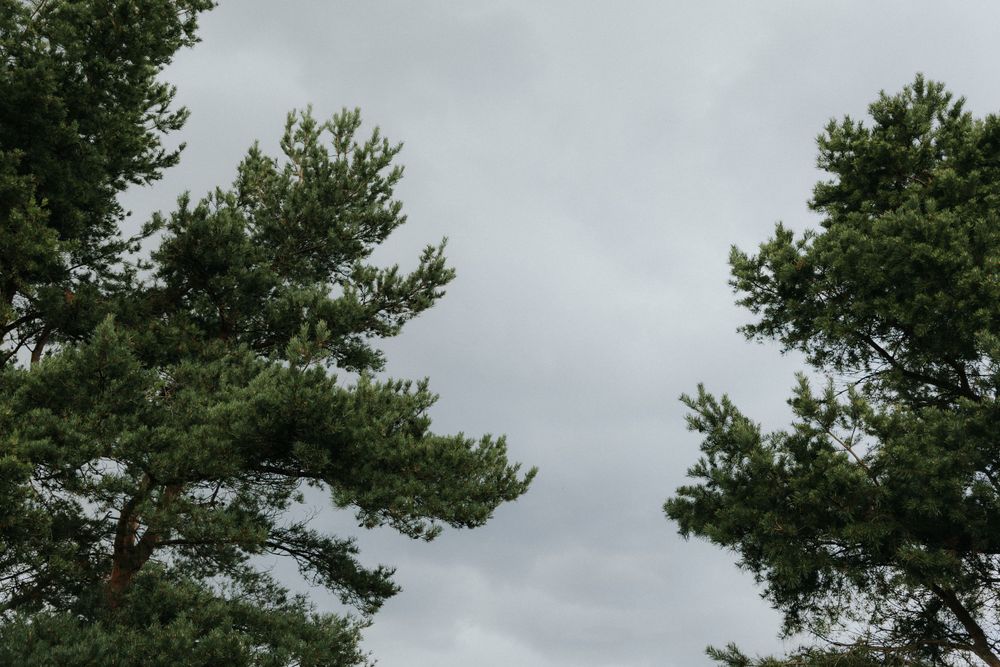 pulmafotograaf, pulmafotograaf tallinnas, fotograaf tallinnas, pildistamine Tartus, eesti fotograafid