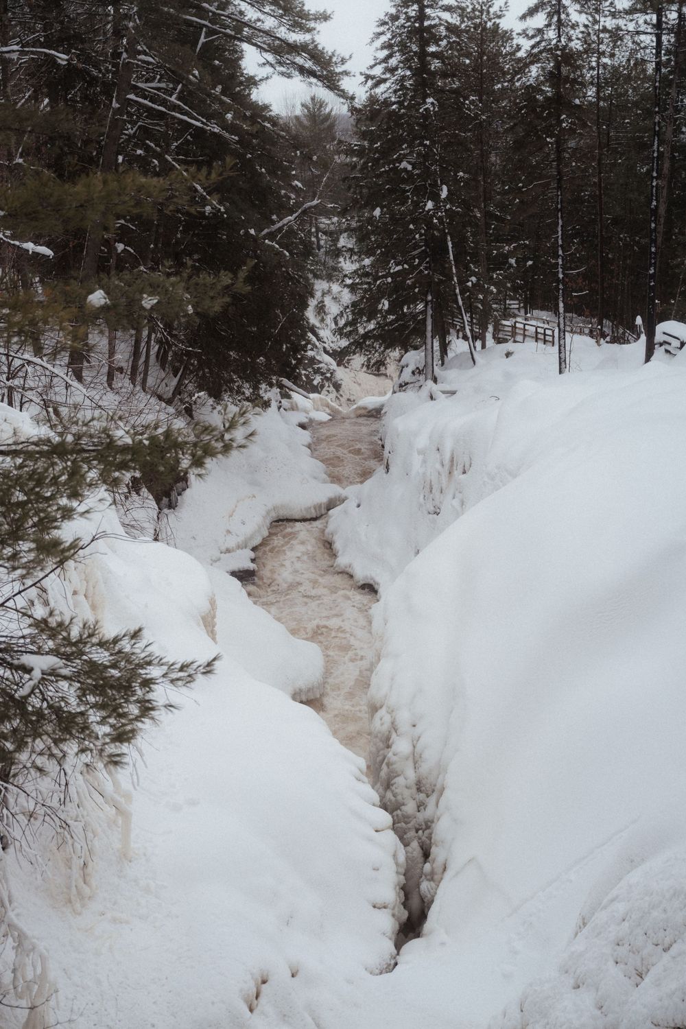 A scenic winter stream cuts through deep snow banks in a pine forest.