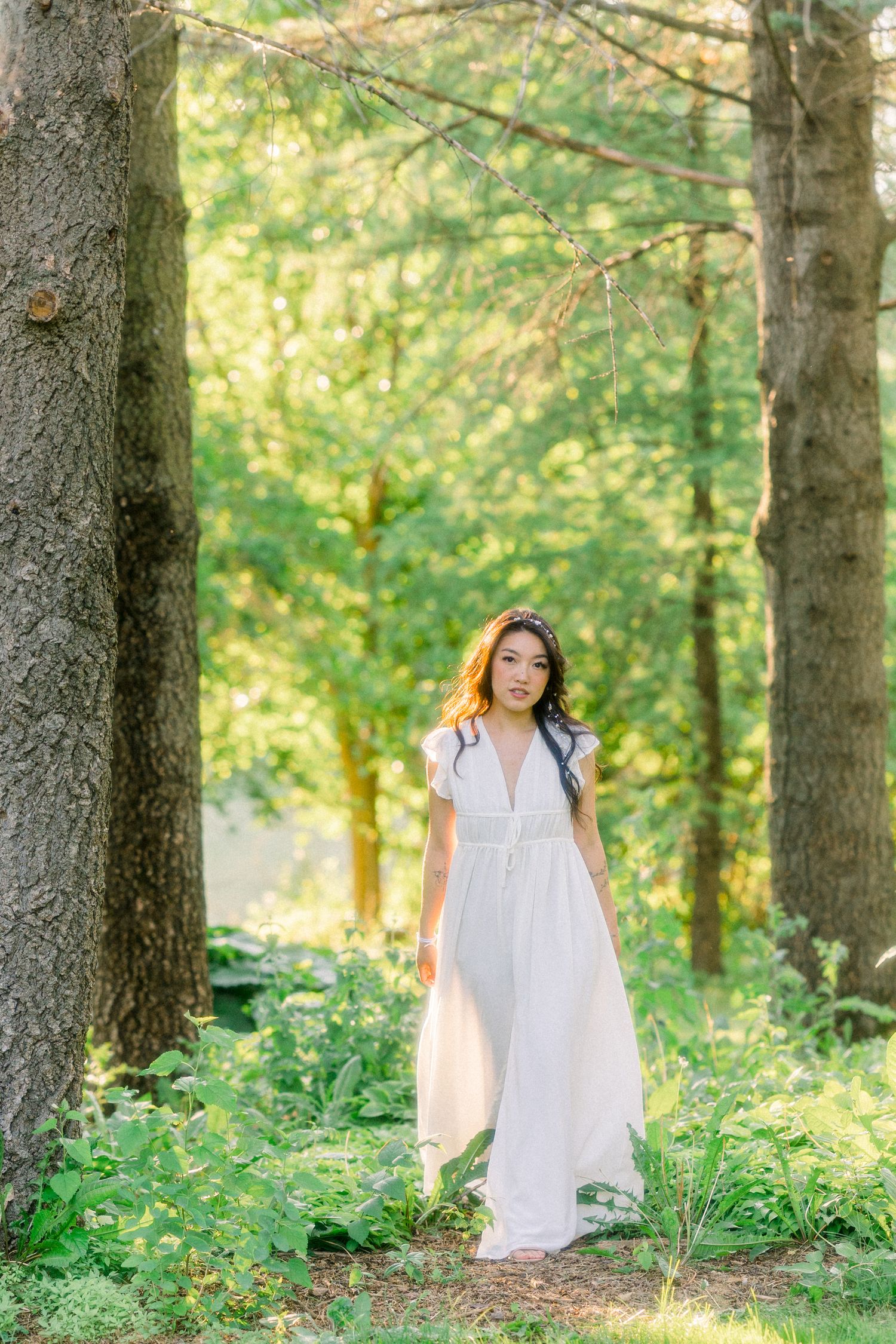 A serene forest portrait with sunlight filtering through tall trees.