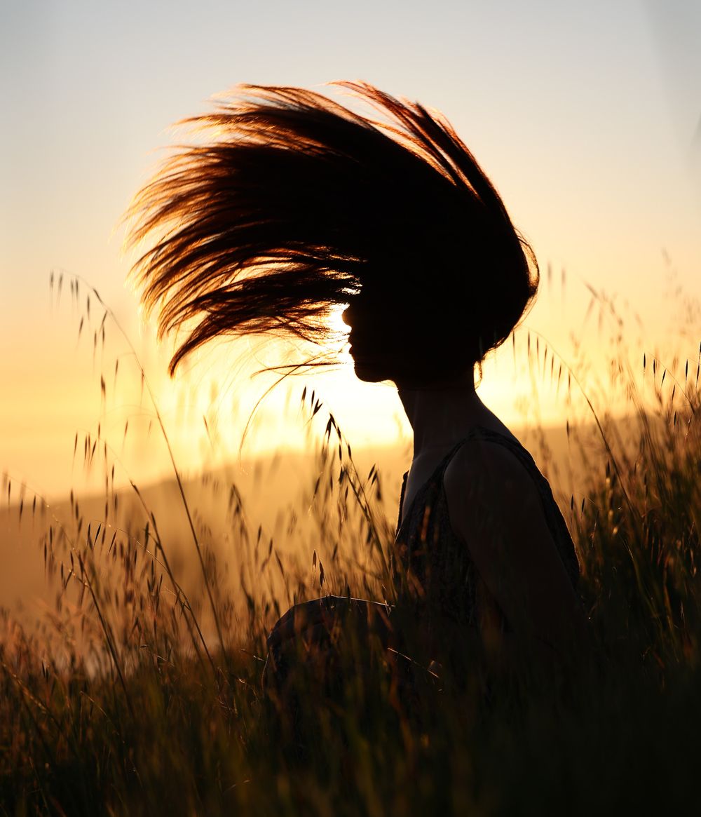 Dramatic silhouette of hair blowing in wind against sunset sky and tall grass.