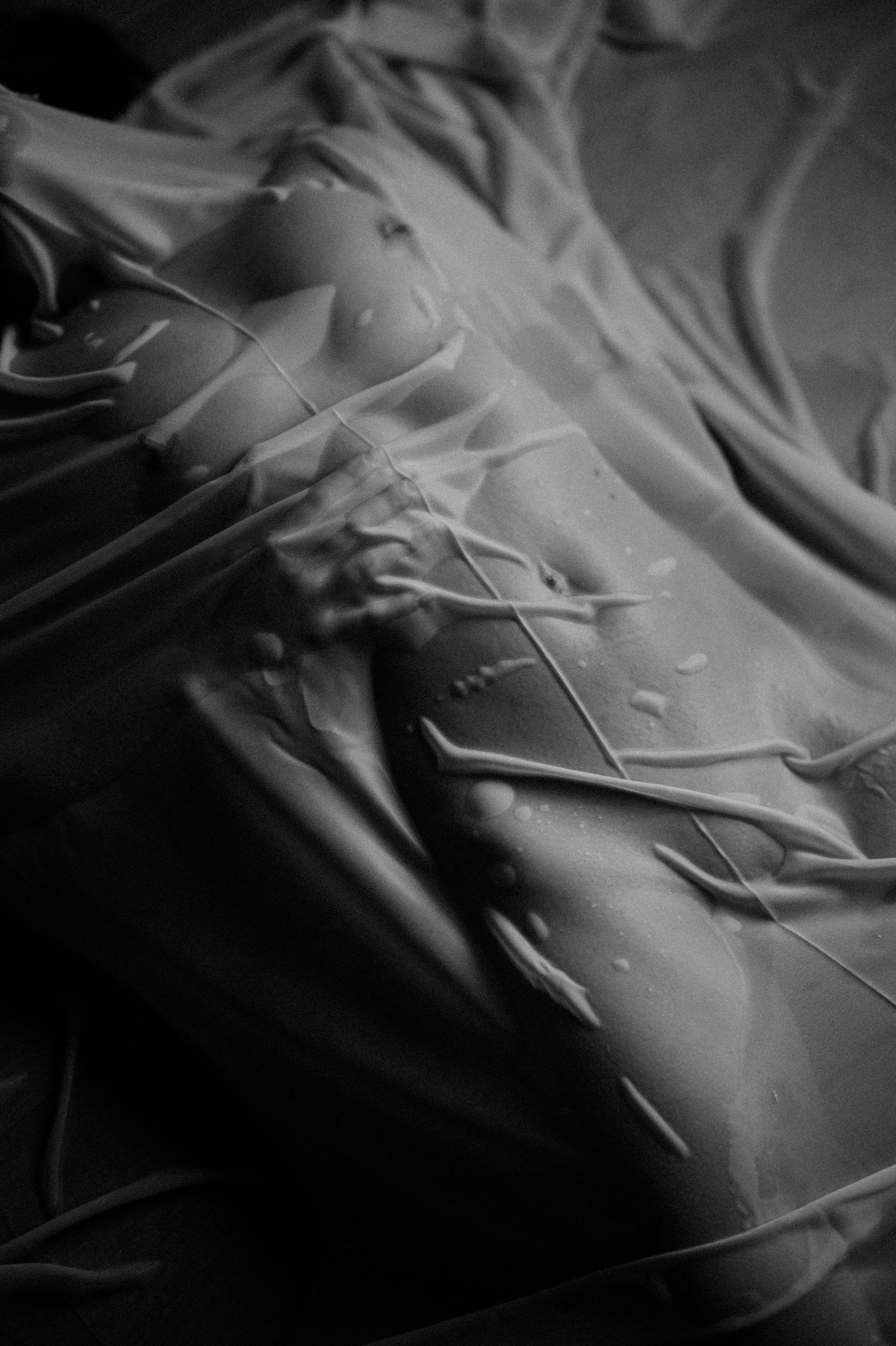Black and white macro photograph of wrinkled fabric with water droplets creating abstract patterns and textures.