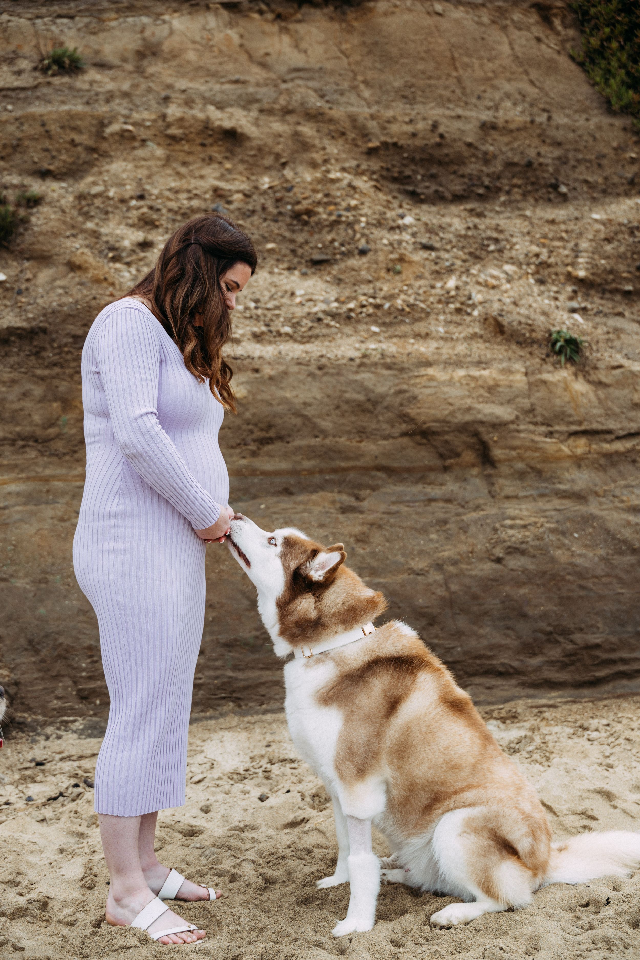 Dog maternity photos