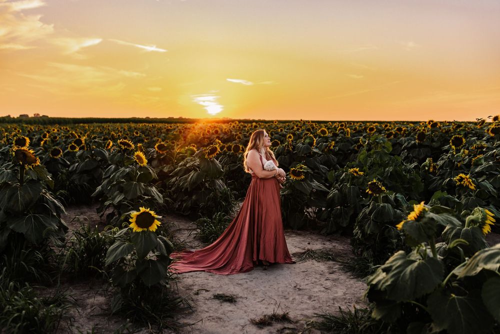 Sunflower Motherhood and Family Photo session in Marion indiana