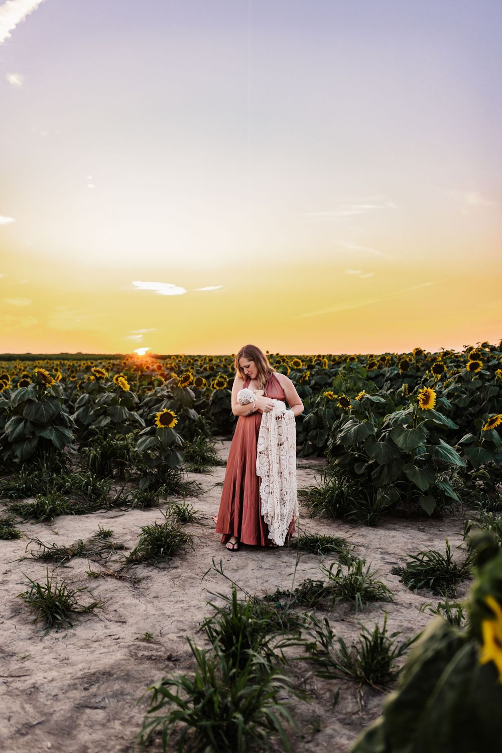 Sunflower Motherhood and Family Photo session in Marion indiana