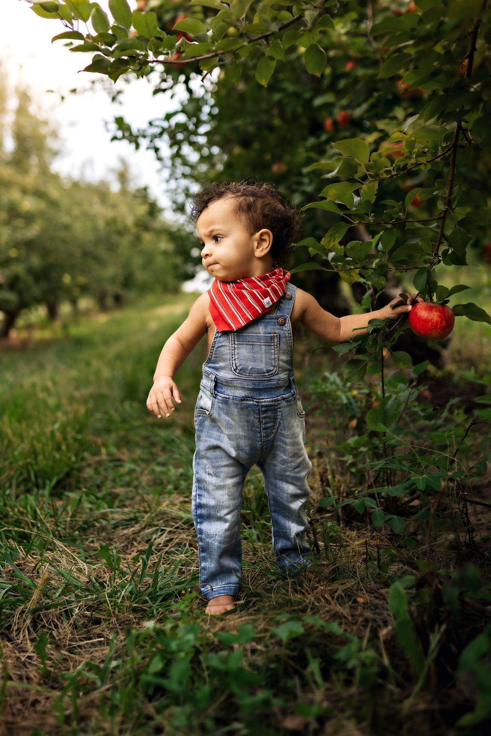 Apple orchard family photoshoot in Marion Indiana