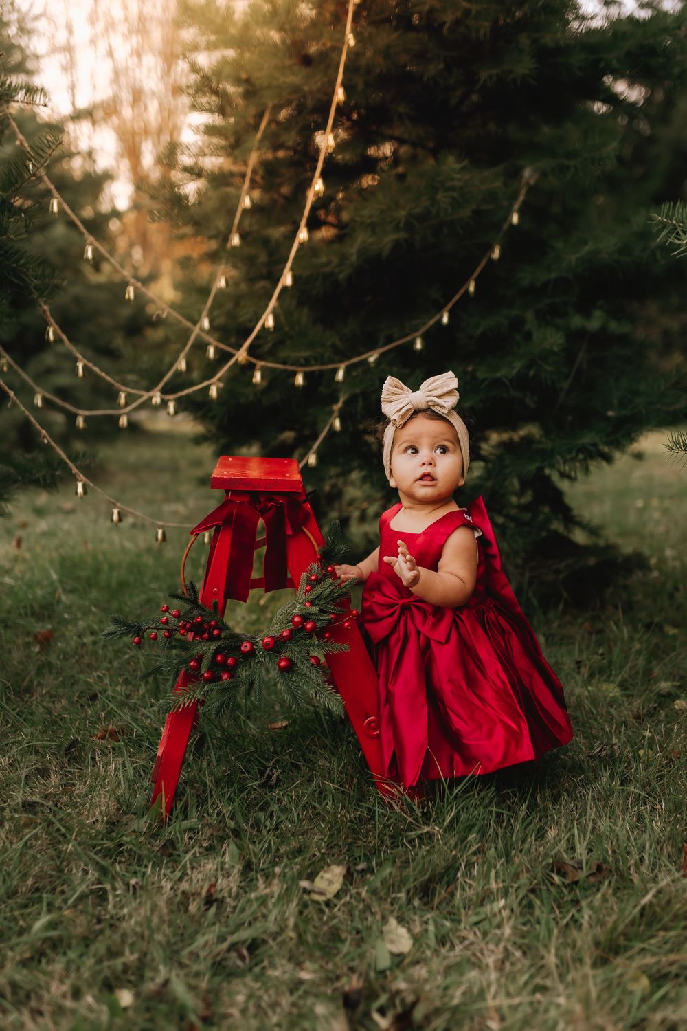 Christmas Tree Mini Session in Marion Indiana