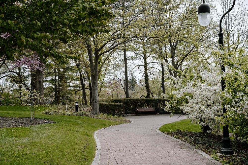 A winding brick pathway through a spring garden with blooming trees and a wooden bridge in the distance.
