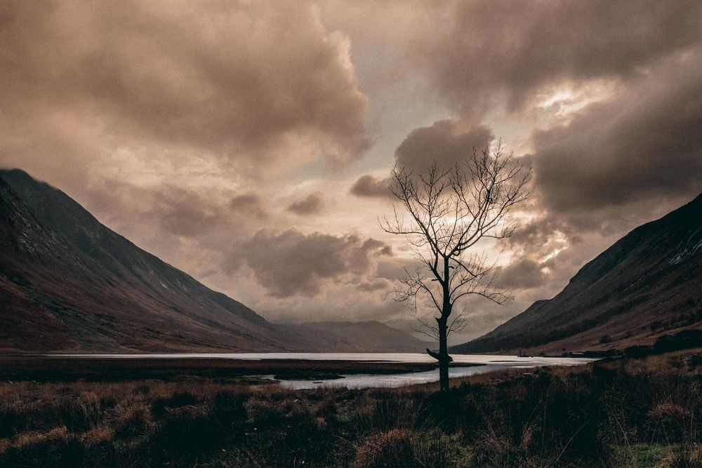 A lone bare tree stands silhouetted against dramatic clouds at Loch Etive in the Scottish Highlands during sunset.
