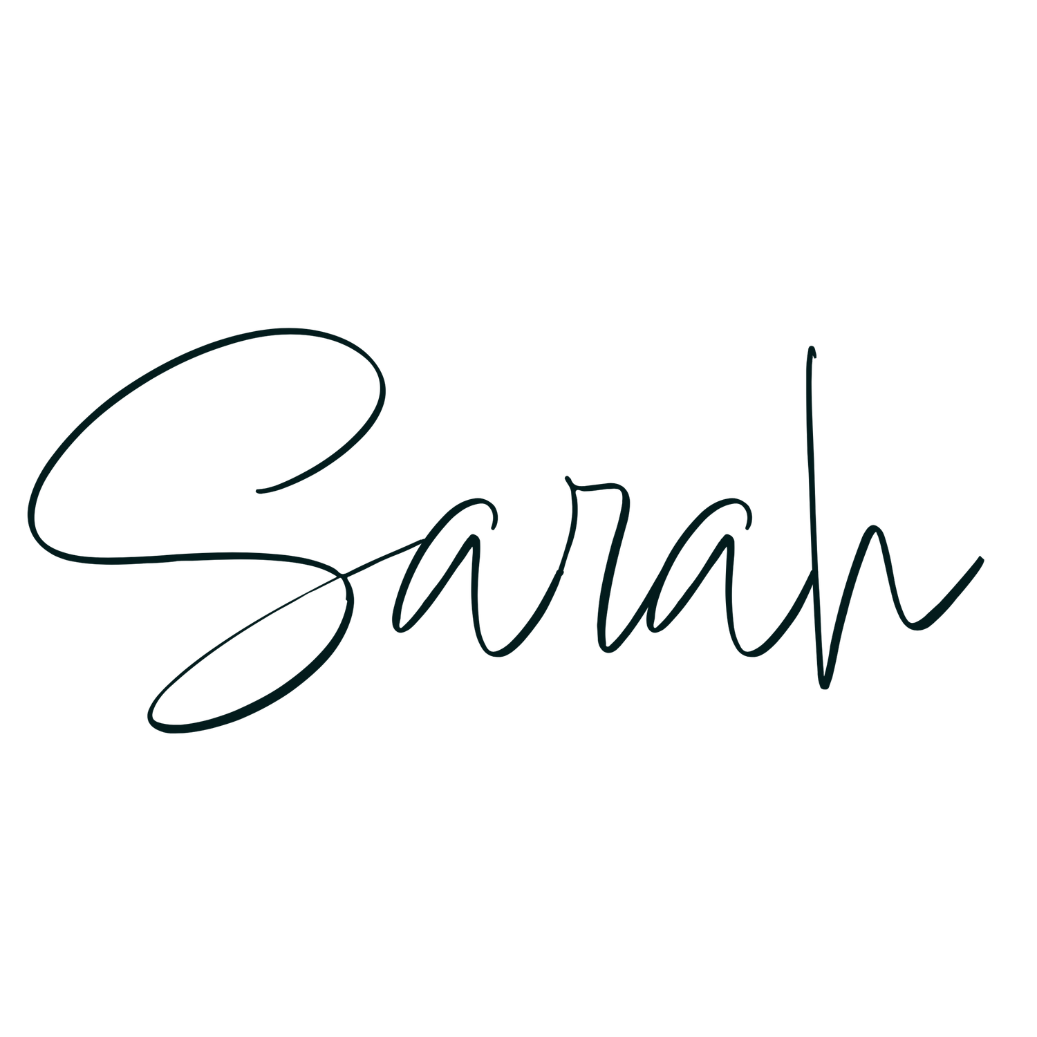 Handwritten signature in black ink showing the name 'Sarah' in a modern cursive style.