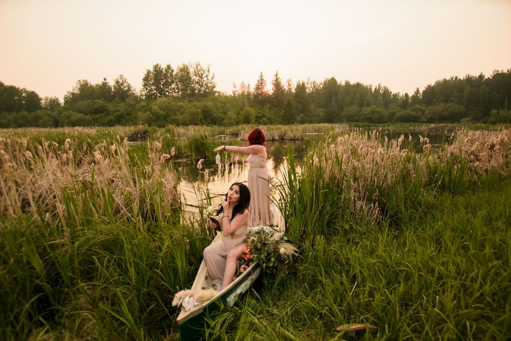 A peaceful sunset scene in a grassy meadow with tall cattails and natural foliage during golden hour.