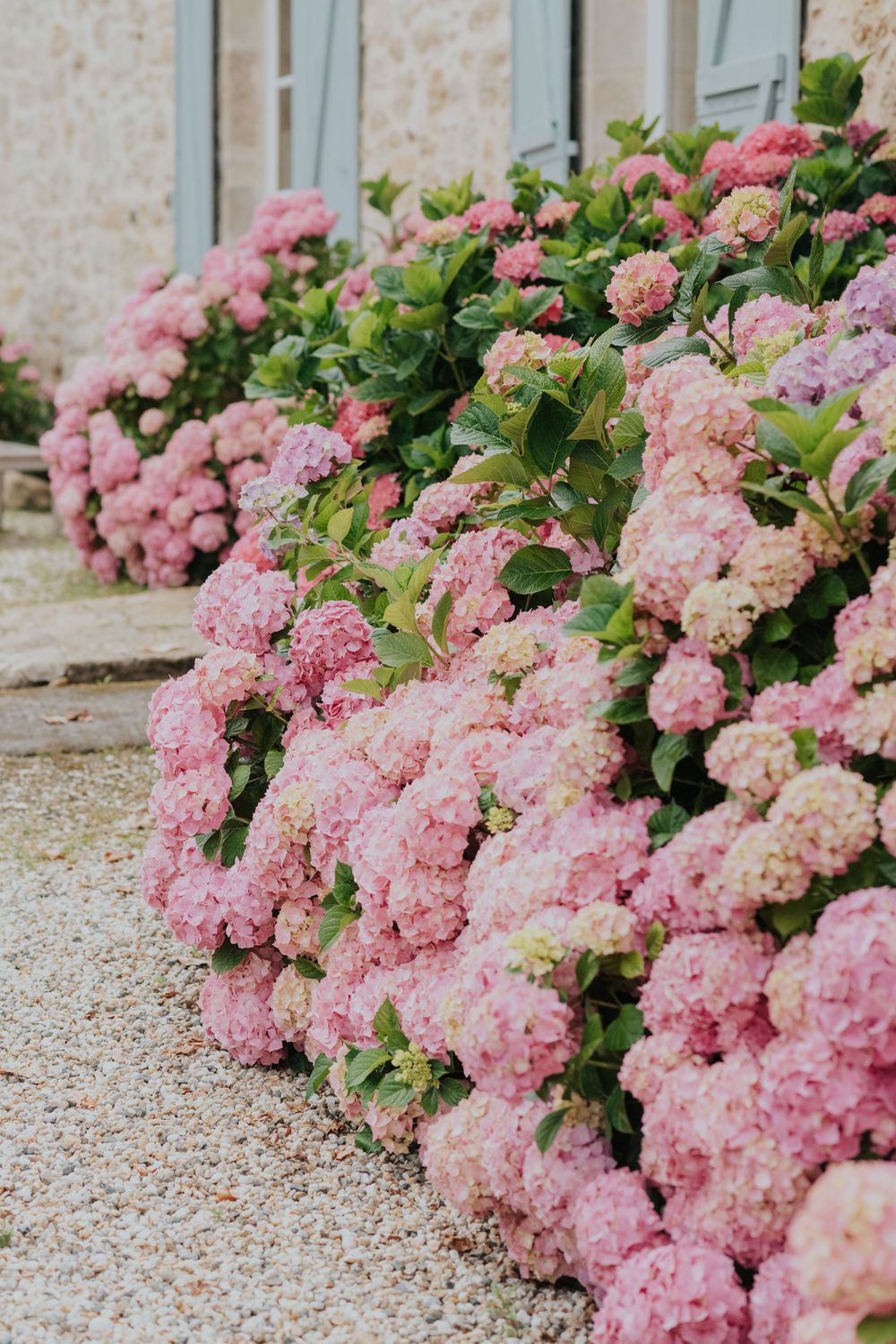 Jardin fleuris du domaine en Nouvelle-Aquitaine