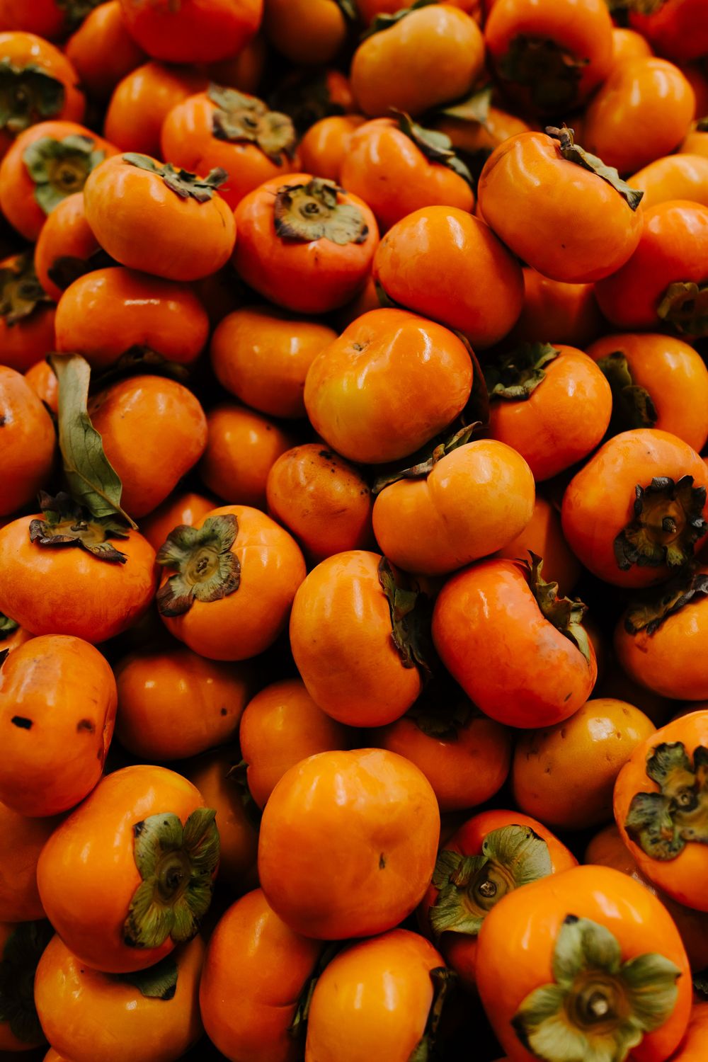 Fresh orange persimmons with dark green stems are piled together showing their vibrant color and round shapes.