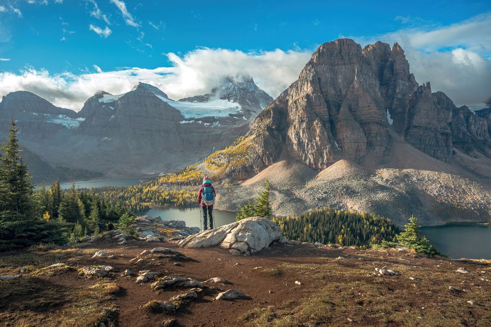 Mountain peak with glacial ice shrouded in clouds with fall colors in foreground.
