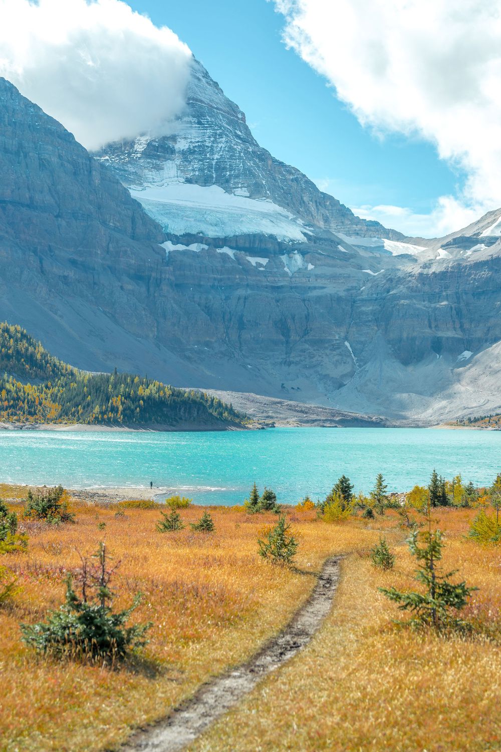 Winding trail through golden meadow leading to turquoise alpine lake and mountain peak.