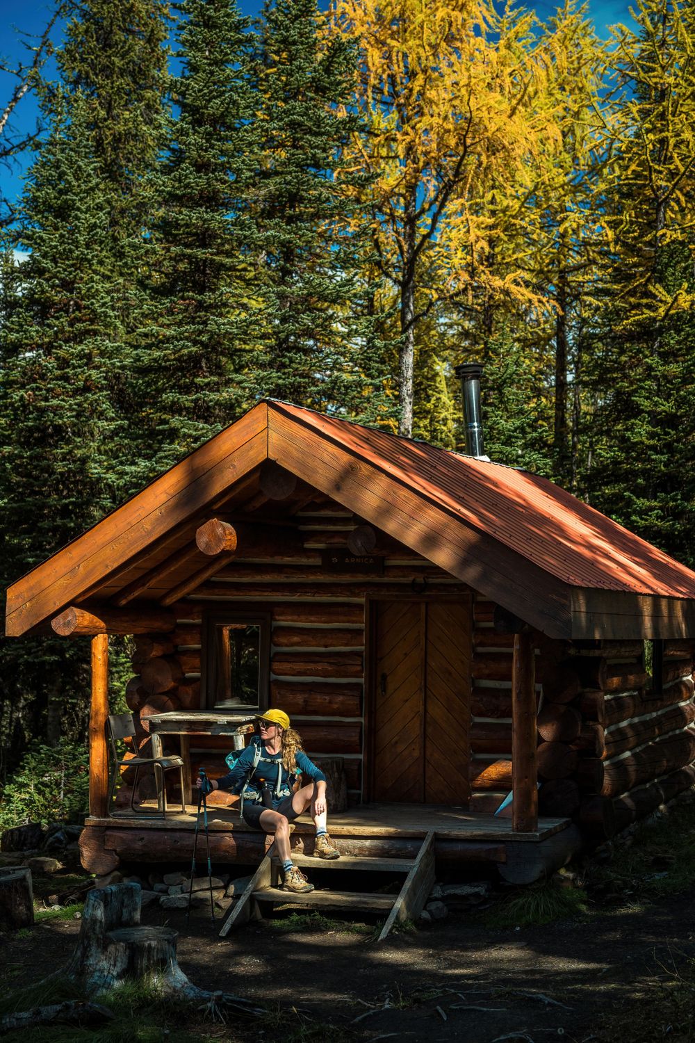 Cozy log cabin nestled among evergreen and golden aspen trees in mountain forest setting.
