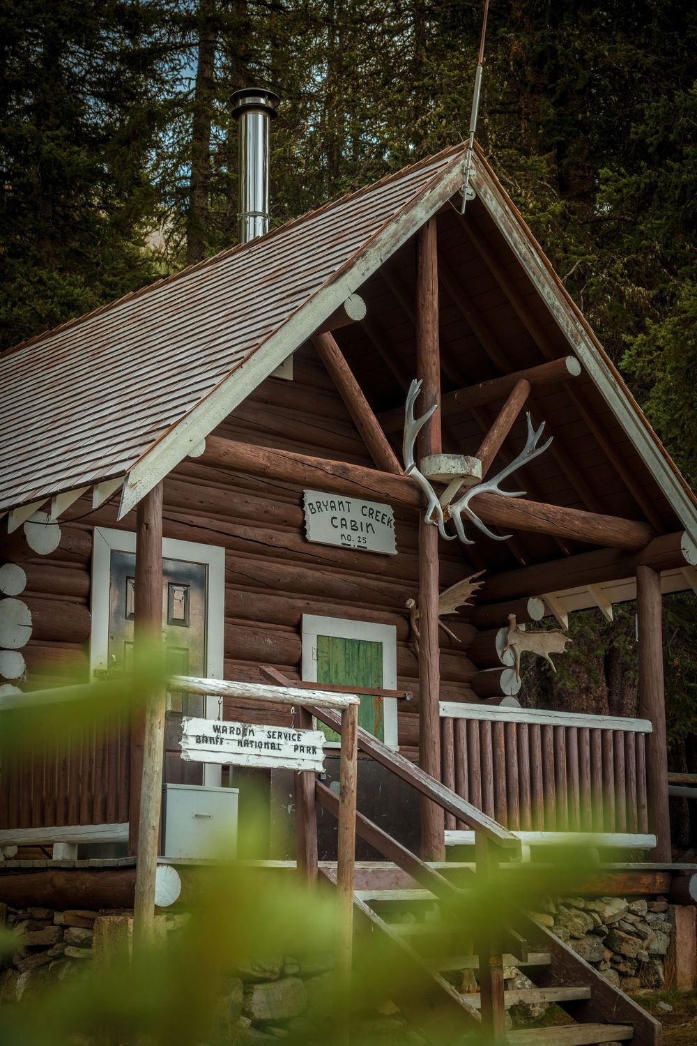 Rustic log cabin entrance decorated with antlers and a metal chimney pipe in a forest setting.