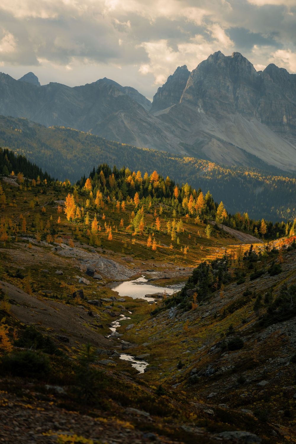 Mountain stream winding through alpine valley with golden larches and rocky peaks.