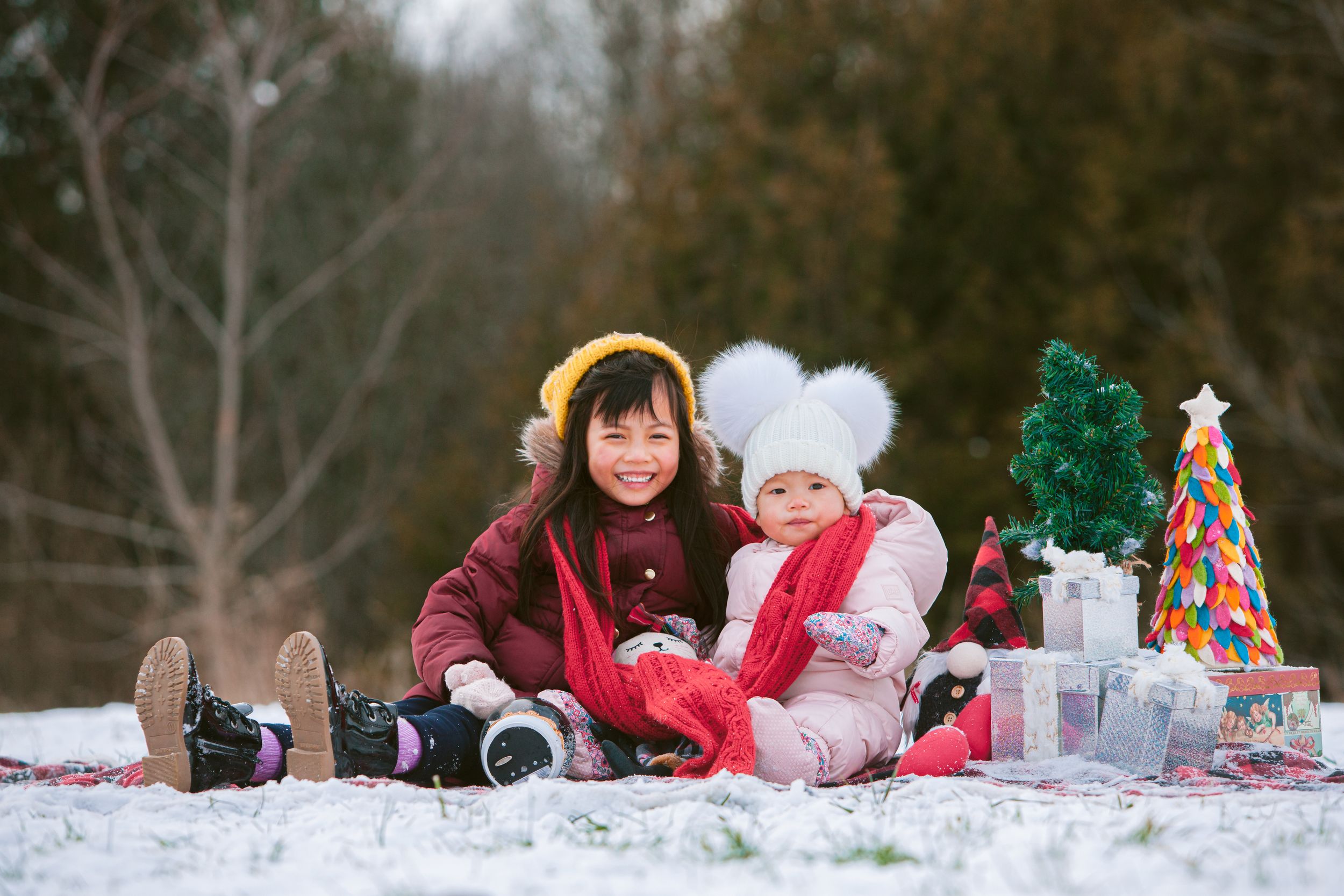 A winter picnic scene with holiday decorations and presents set up in the snow.