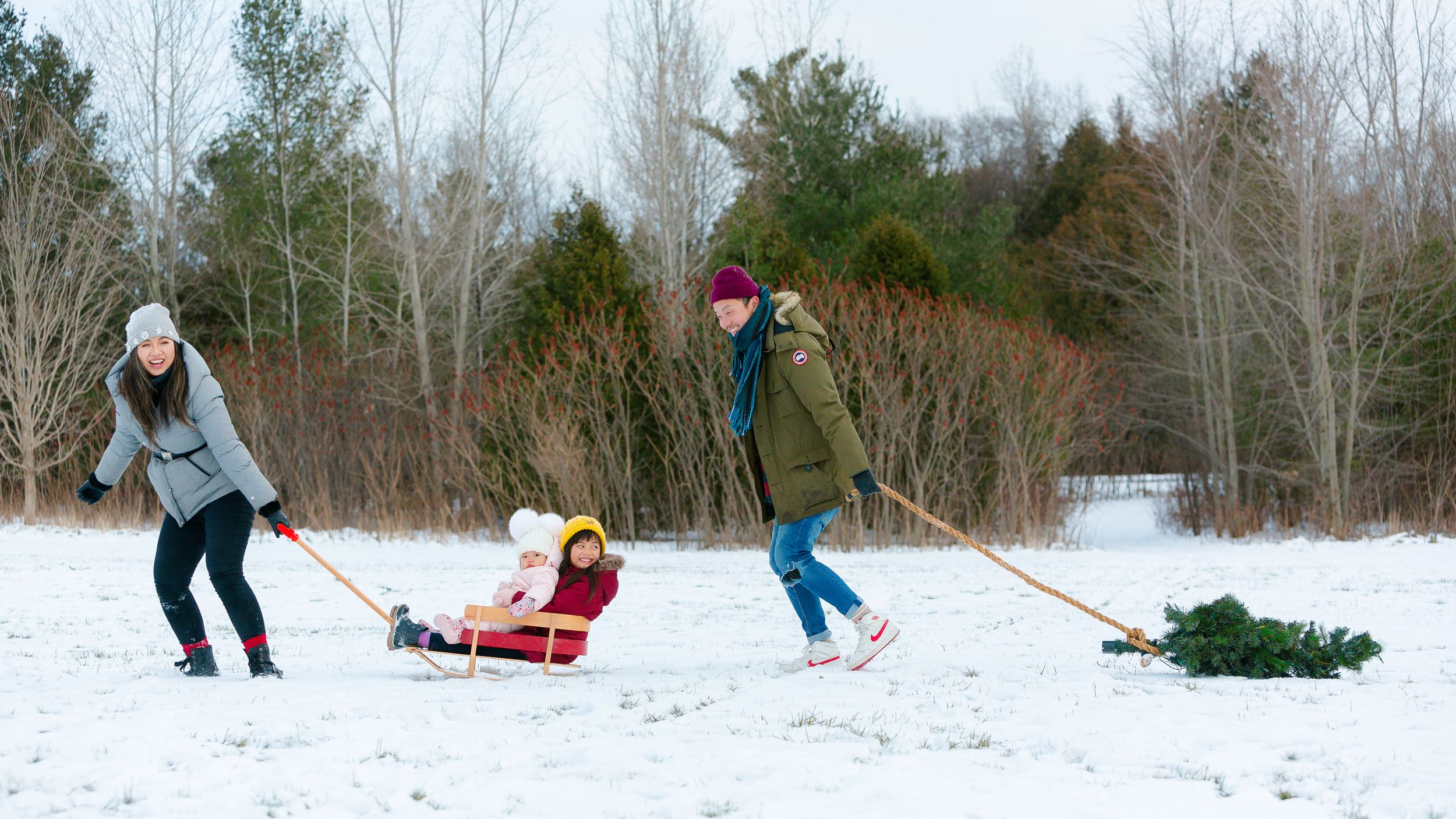 People pulling sleds through a snowy landscape with bare winter trees in the background.
