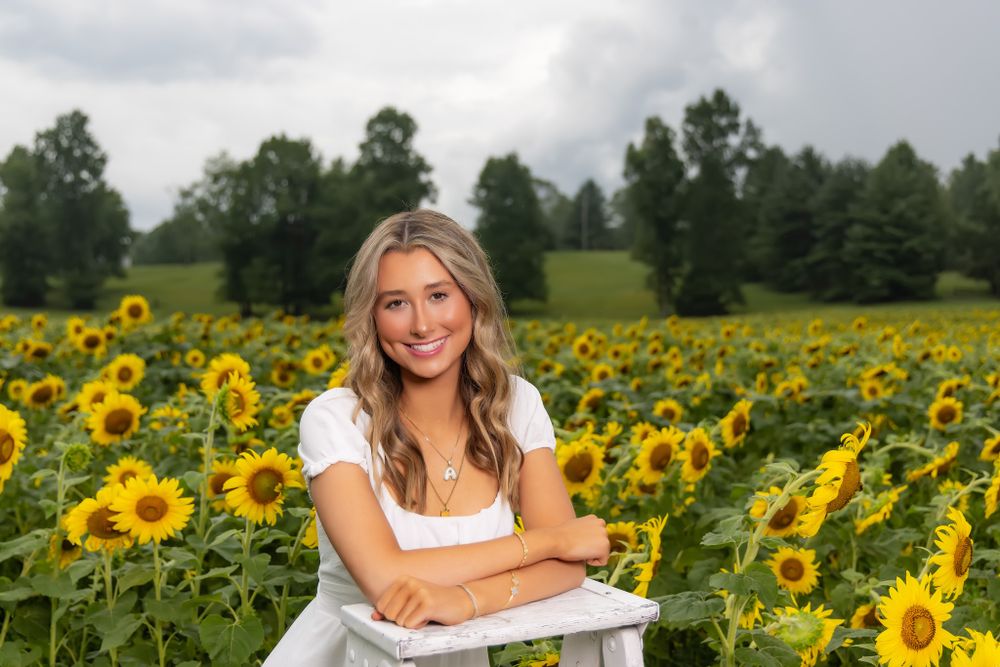 A bright sunny sunflower field with blooming yellow flowers on a cloudy summer day.