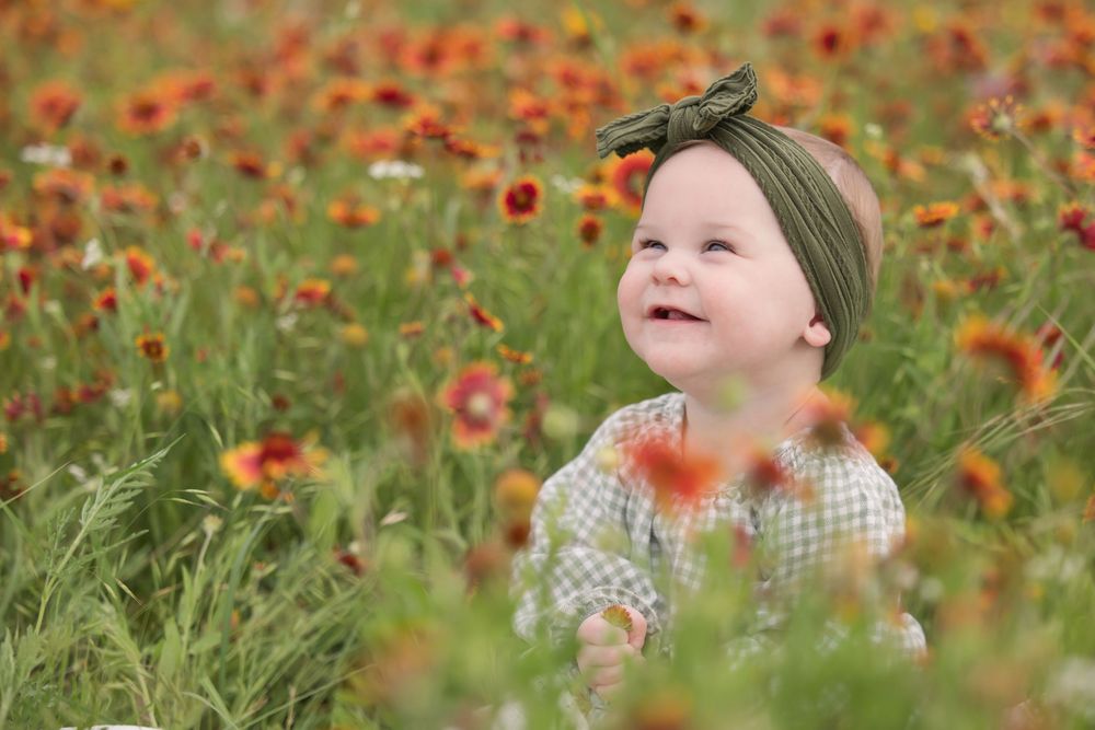 Charming scene in a vibrant wildflower meadow filled with bright red poppies and lush green grass on a sunny day.