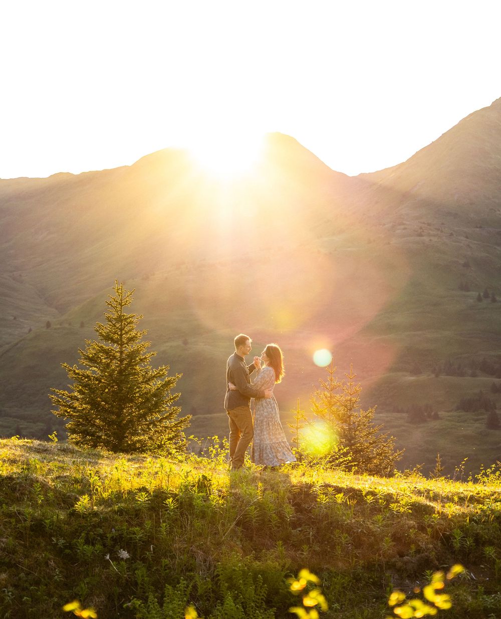 A romantic sunset moment on a mountainside with a lone pine tree and golden sunflare.