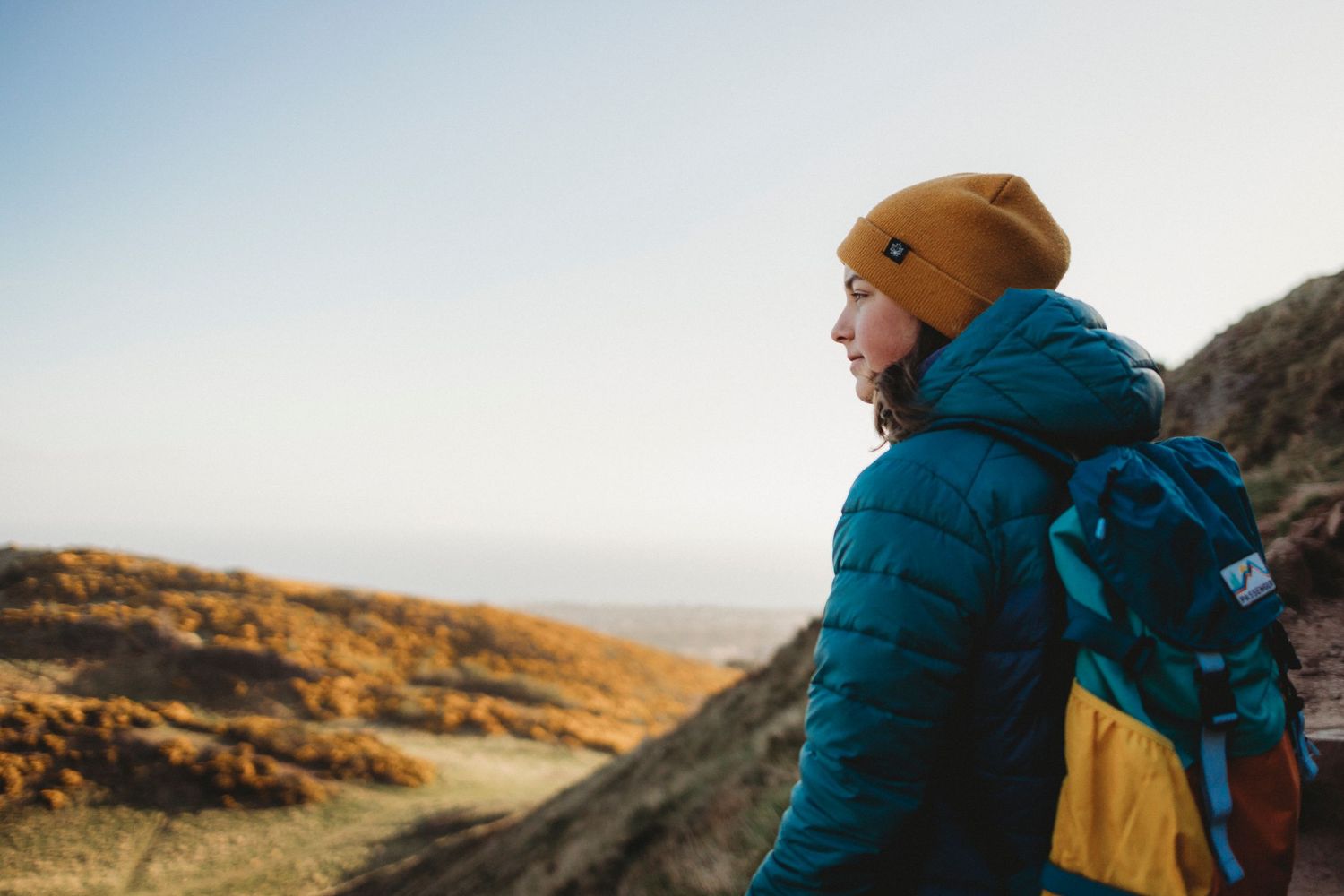 Two people walk a dog along a scenic dirt trail surrounded by blooming gorse and mountains in springtime.