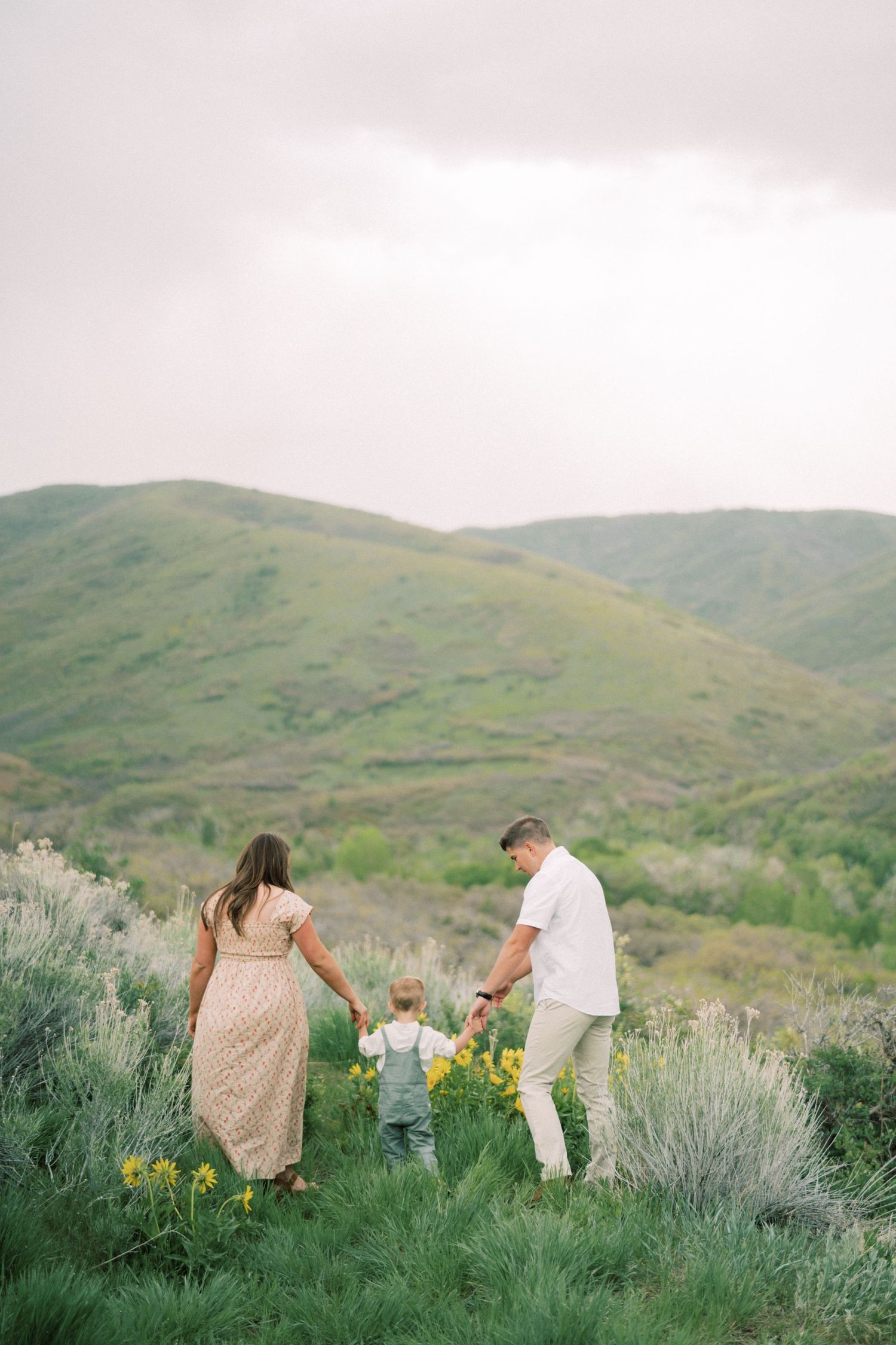 Family walking through meadow of wildflowers and sagebrush with rolling green hills in background during sunset.